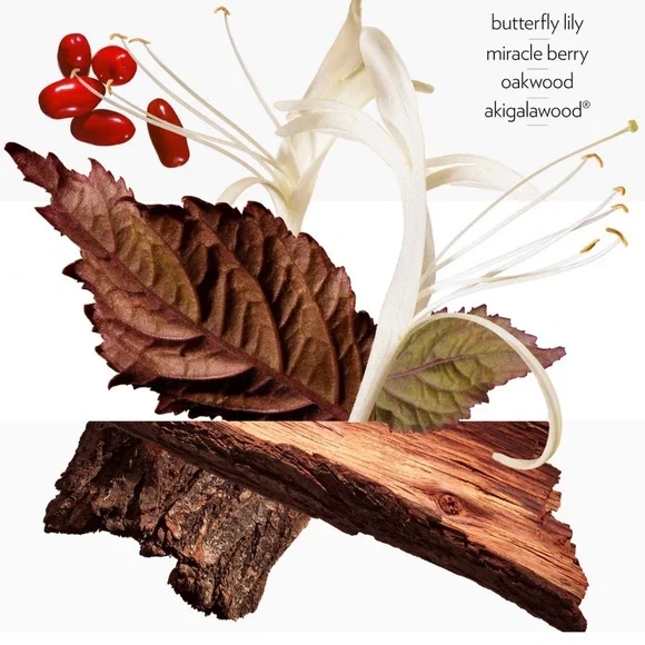 Hermes Discovery set / limited edition - Picture 5 of 6